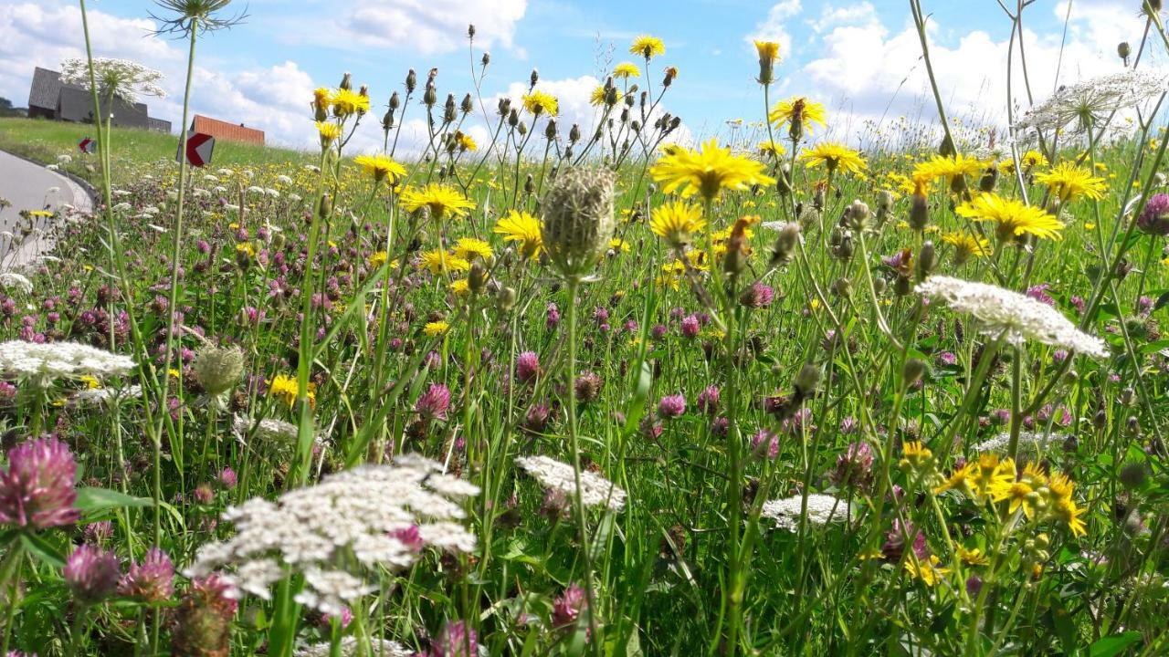 Gemuetliches Haeuschen Im Alten Land Jork Exterior foto