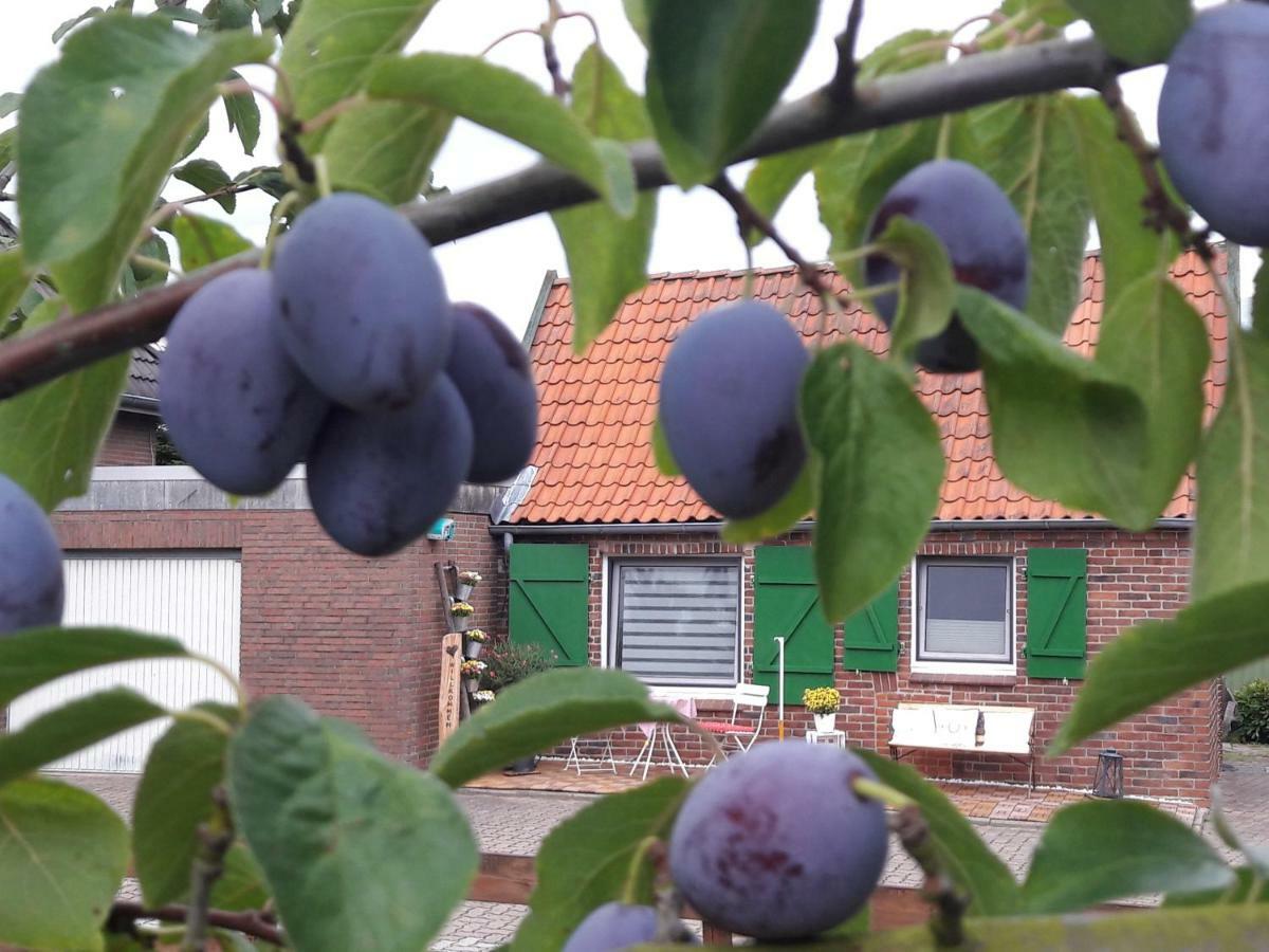 Gemuetliches Haeuschen Im Alten Land Jork Exterior foto